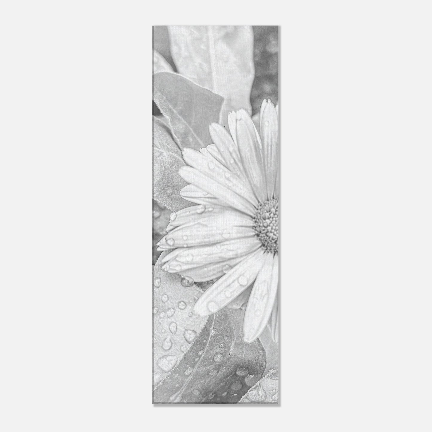 230861e0-1c93-40bc-bdc0-7c2f8b43693d