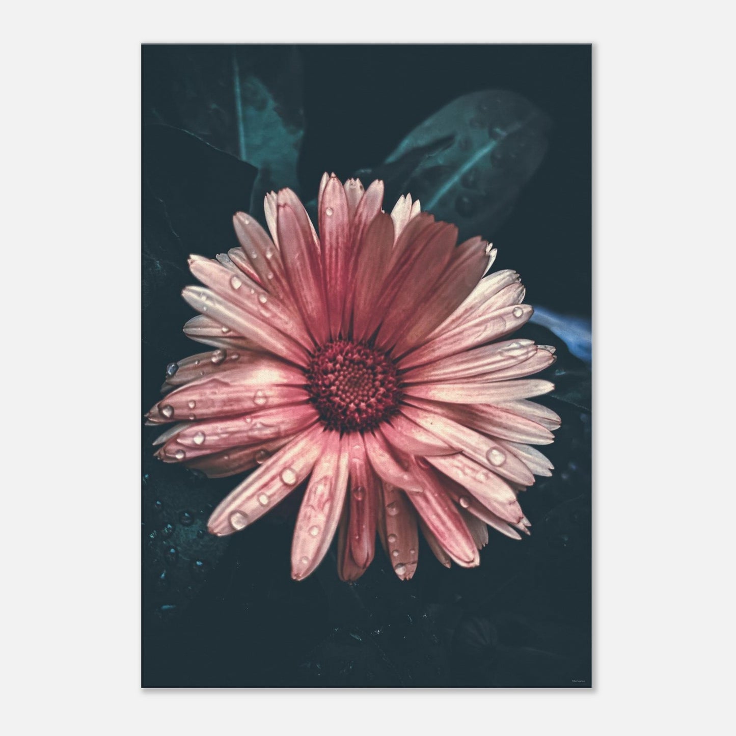 2331fb20-9247-47bf-82bc-238b1095a5f7