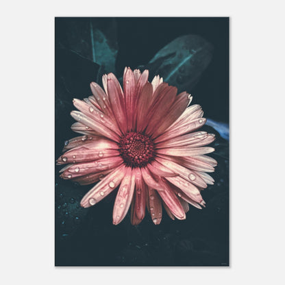 2331fb20-9247-47bf-82bc-238b1095a5f7