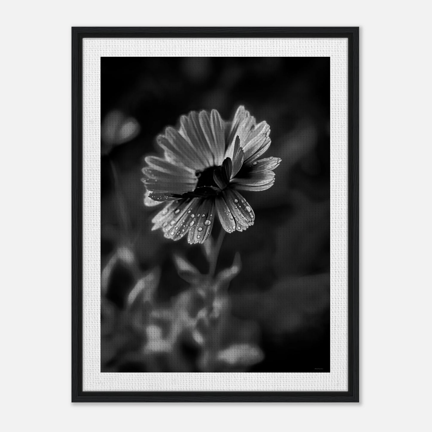 2336238c-3af8-4b4b-9034-f9728b9a7534