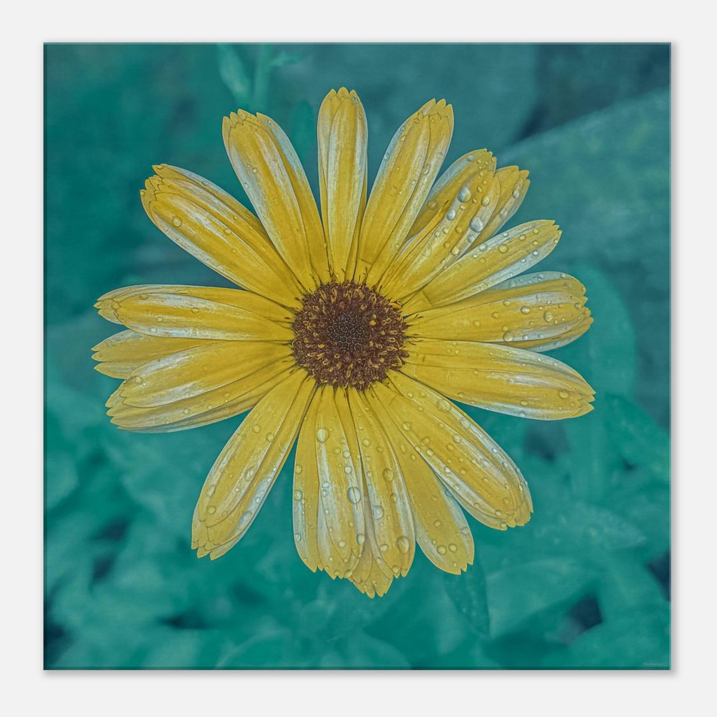 233a2400-0534-46bb-8818-d77dbf33e194