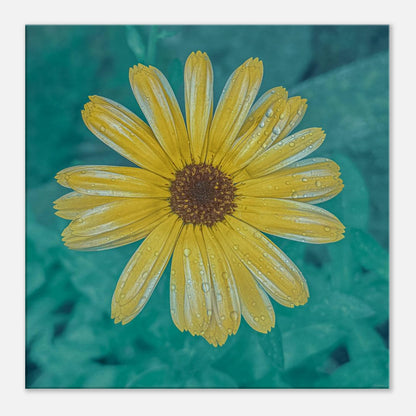 233a2400-0534-46bb-8818-d77dbf33e194