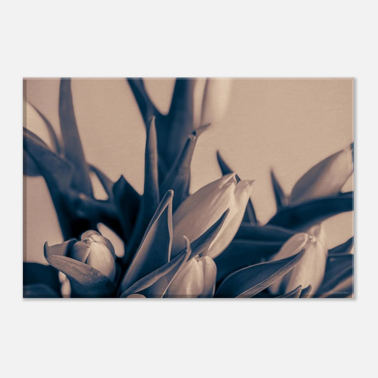 23523198-c1aa-4a29-b542-1b02394d6f1b