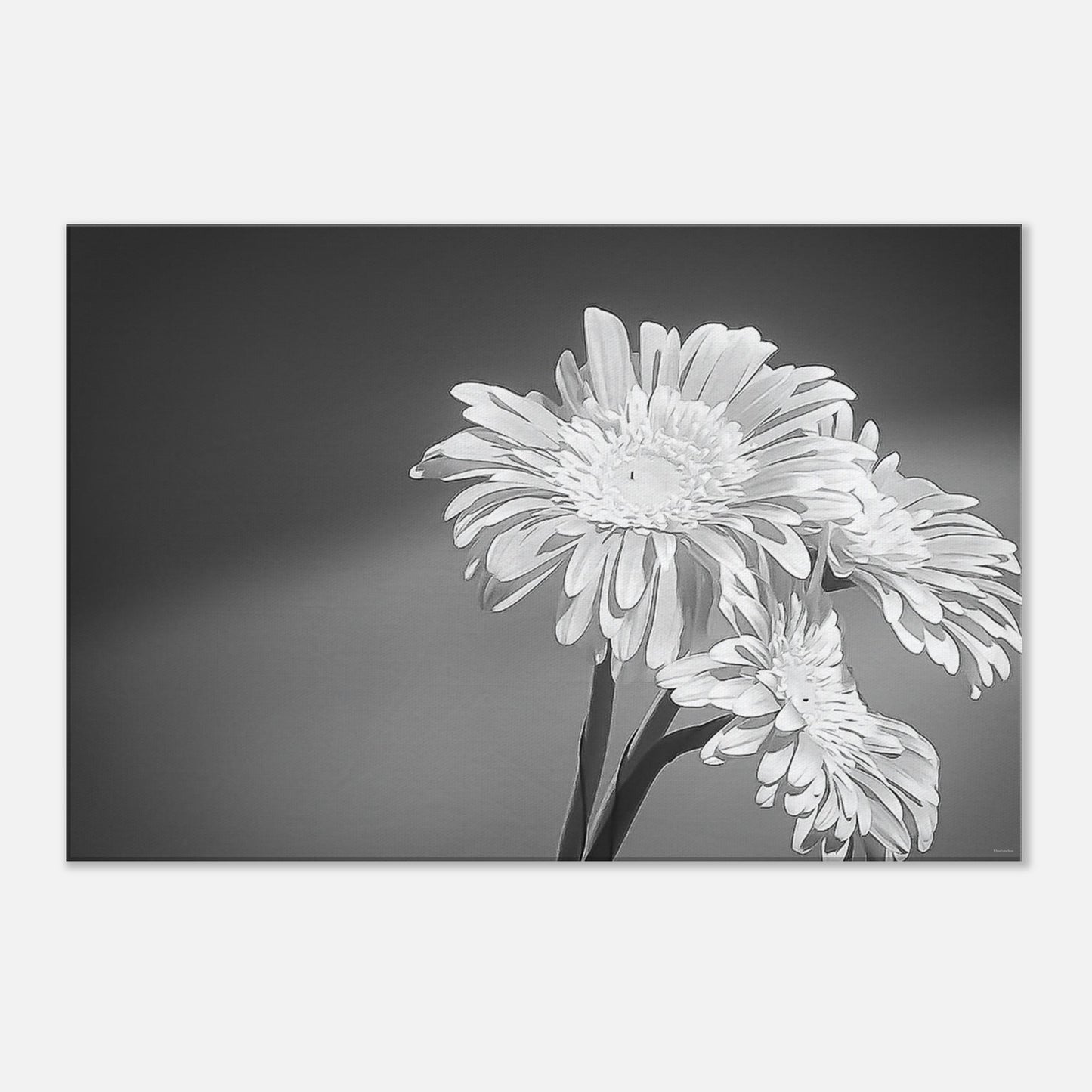 23816b6f-dc5e-4c7d-a800-1e9e65927f4b