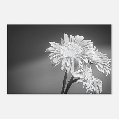 23816b6f-dc5e-4c7d-a800-1e9e65927f4b