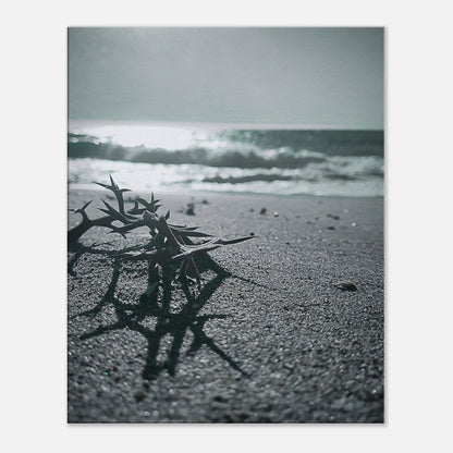 238c307a-08f3-408e-a1d2-0b216abf6db5