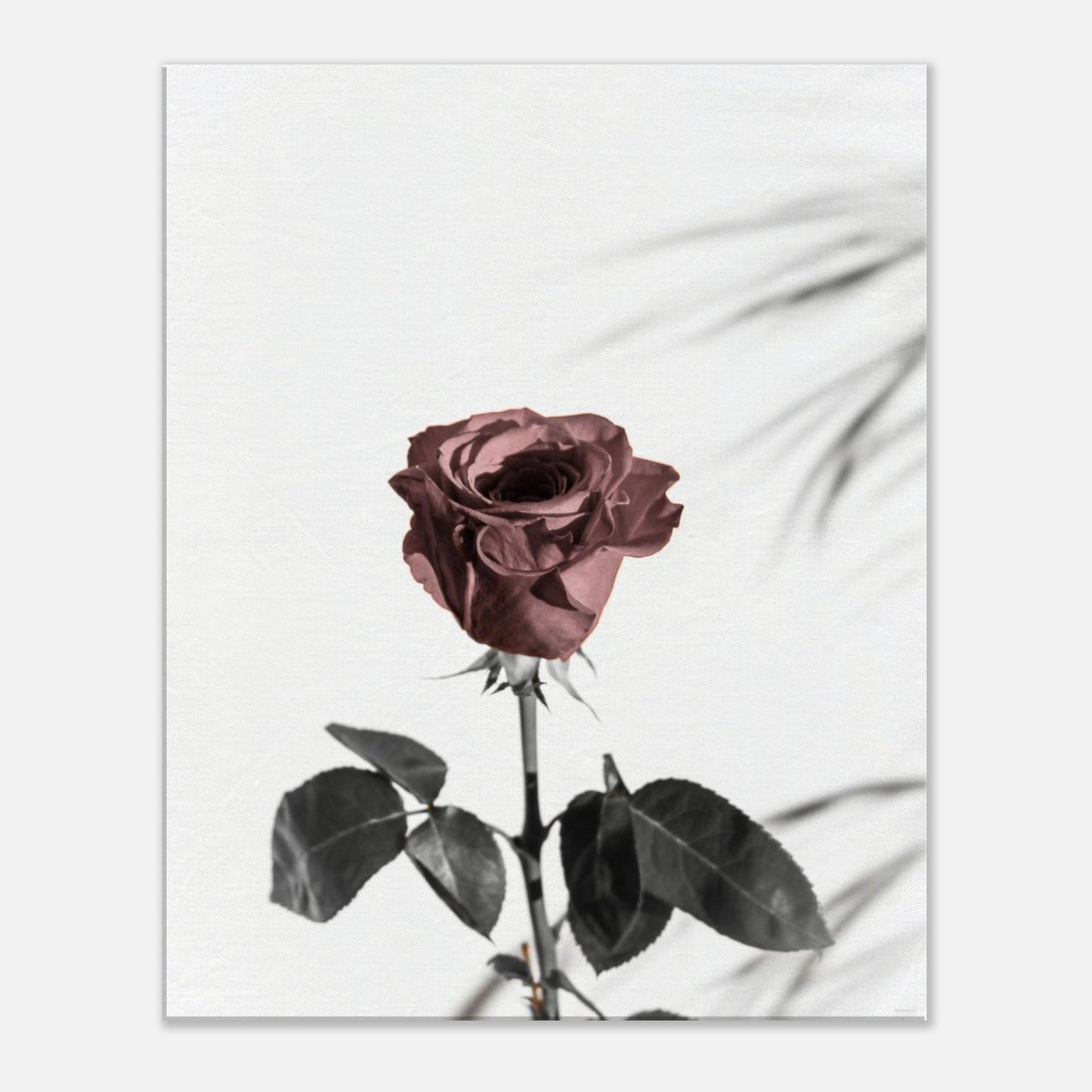 23a7934b-3673-4b60-87be-aa404f9887be