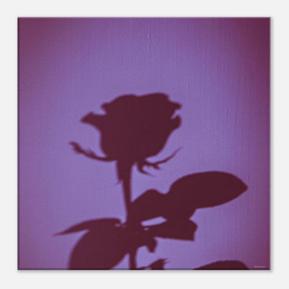 23c3b3b7-9f68-4438-b23c-b38a7c3c4b32