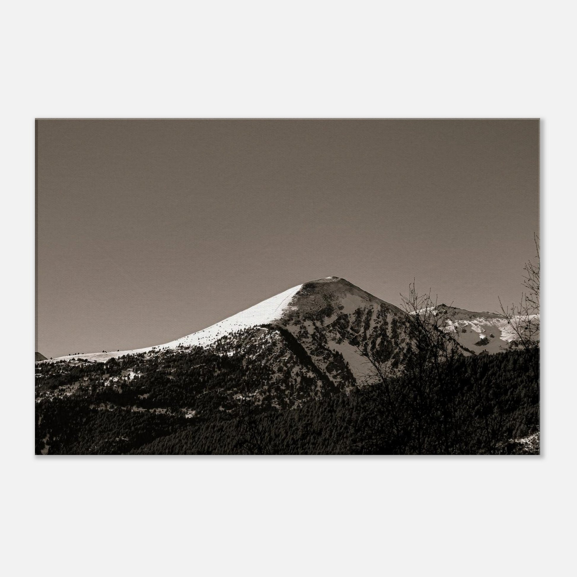 23fe2a6c-1c6e-476c-9c87-082ff9588319