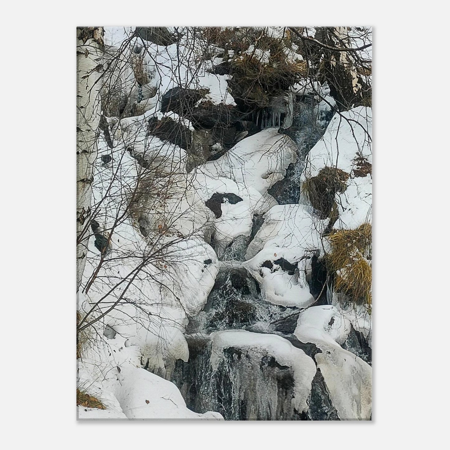 24165402-fc6f-488b-b692-4f3b708a86f1