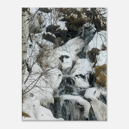 24165402-fc6f-488b-b692-4f3b708a86f1