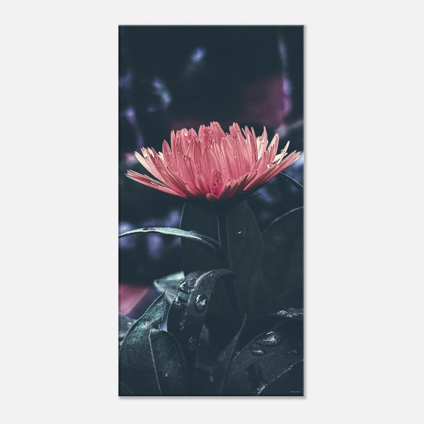 241fdafb-010b-447e-92ba-7c746ac4edad