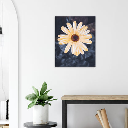 2431a8fb-02c0-4ac9-9ed4-4100226e20d9