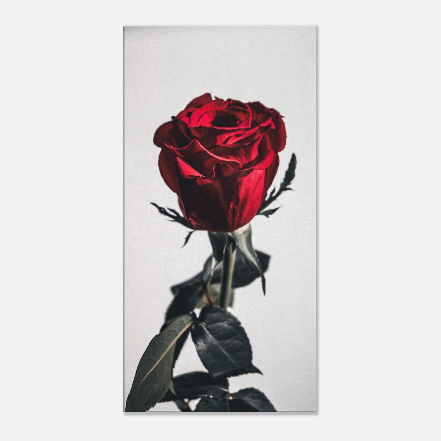 243d7293-2ae7-43f7-8ede-576dd065dcb2