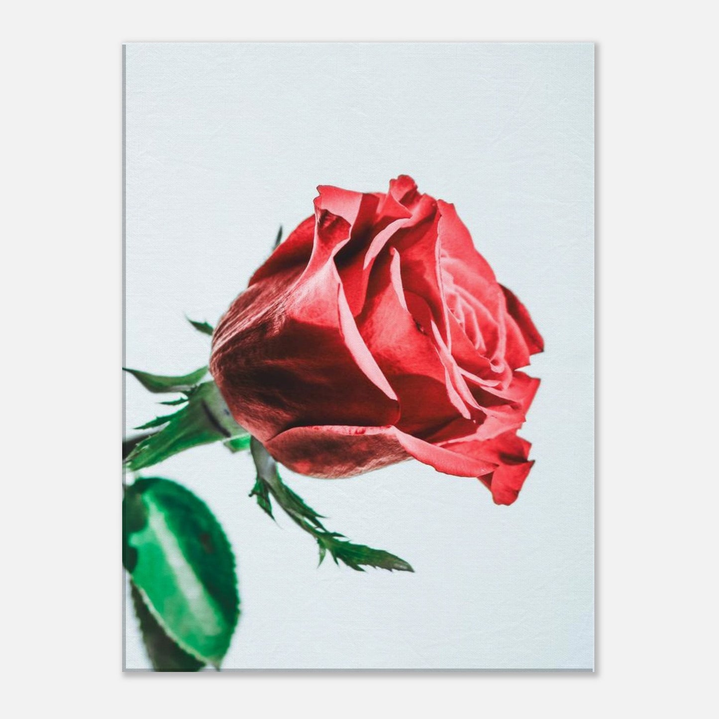 24479263-0bc4-4e52-b700-1f52ff2c0708