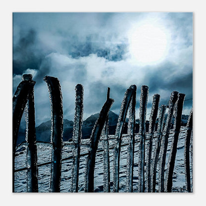 24d4af5d-1c47-4e94-ac96-4ae58d9a2a4b