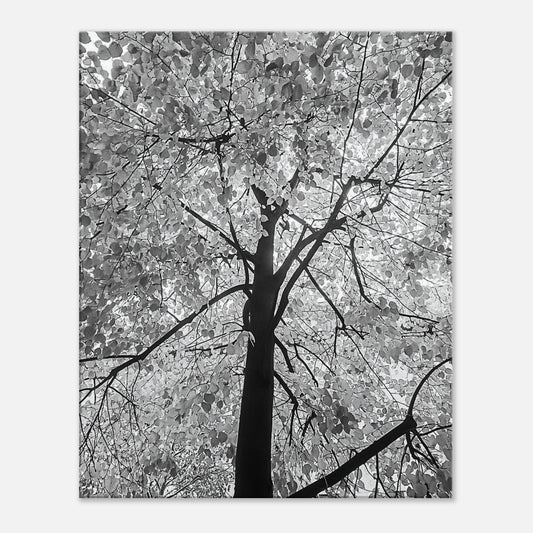 24ed7108-4919-4328-9177-b363390e202d