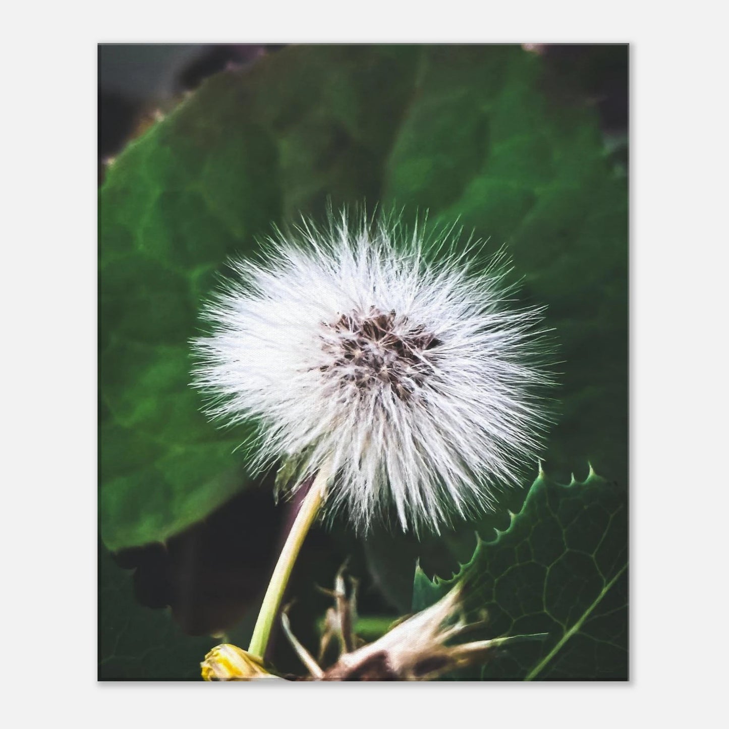 24fe3a44-9755-496c-9522-56ba3ac576c2