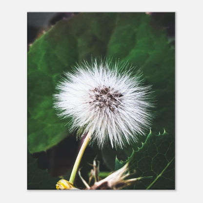 24fe3a44-9755-496c-9522-56ba3ac576c2