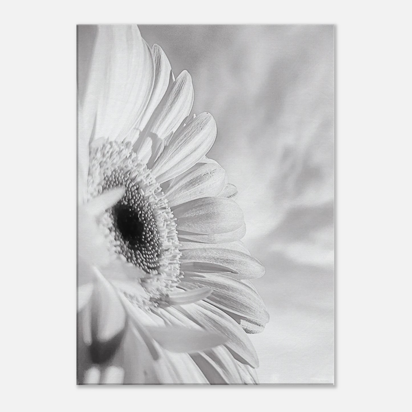 250cb550-197b-41ee-bf5b-7da79240ae95