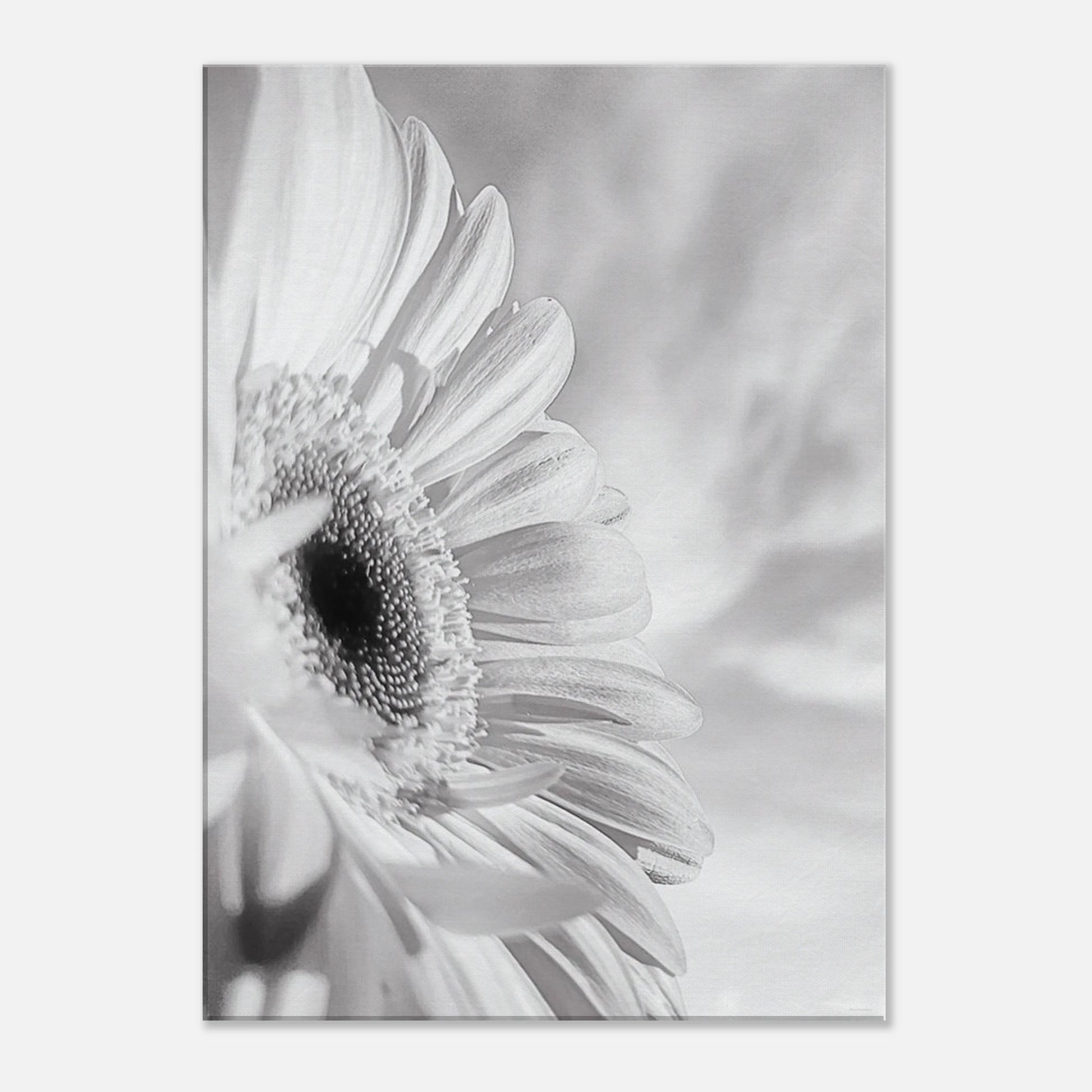 250cb550-197b-41ee-bf5b-7da79240ae95