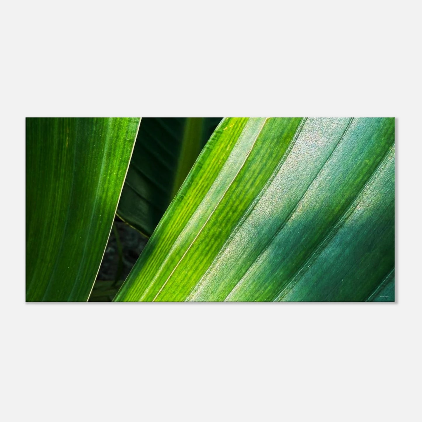 2525dc90-a14d-40f6-8fb0-d8c15e9caffe