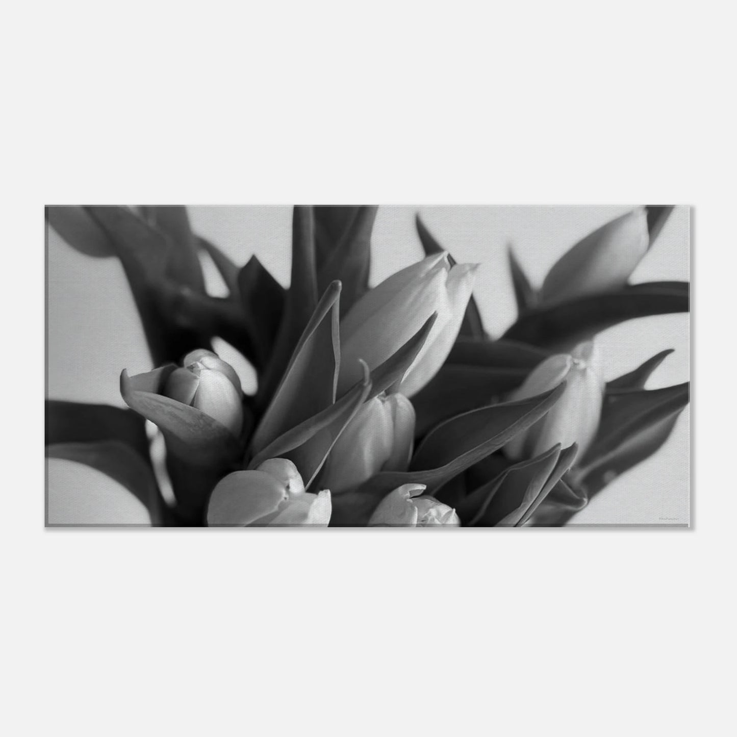 25449899-43e8-48b1-8b6c-a50a8e2c0fe1