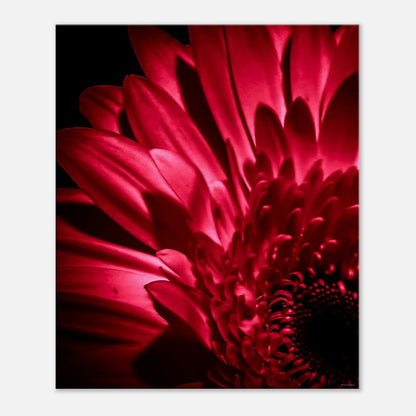 2553d411-ff88-45a8-9ac5-06924abe3b57