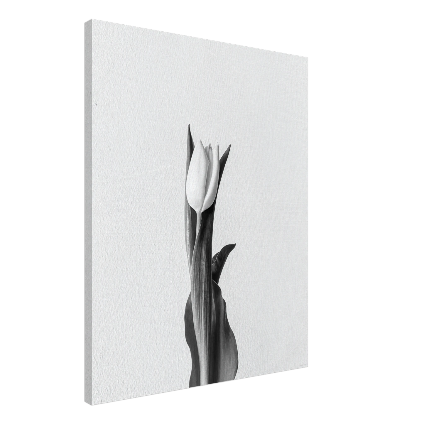 2583a40e-2efd-4b1b-90d6-c5fdcd45a4d6