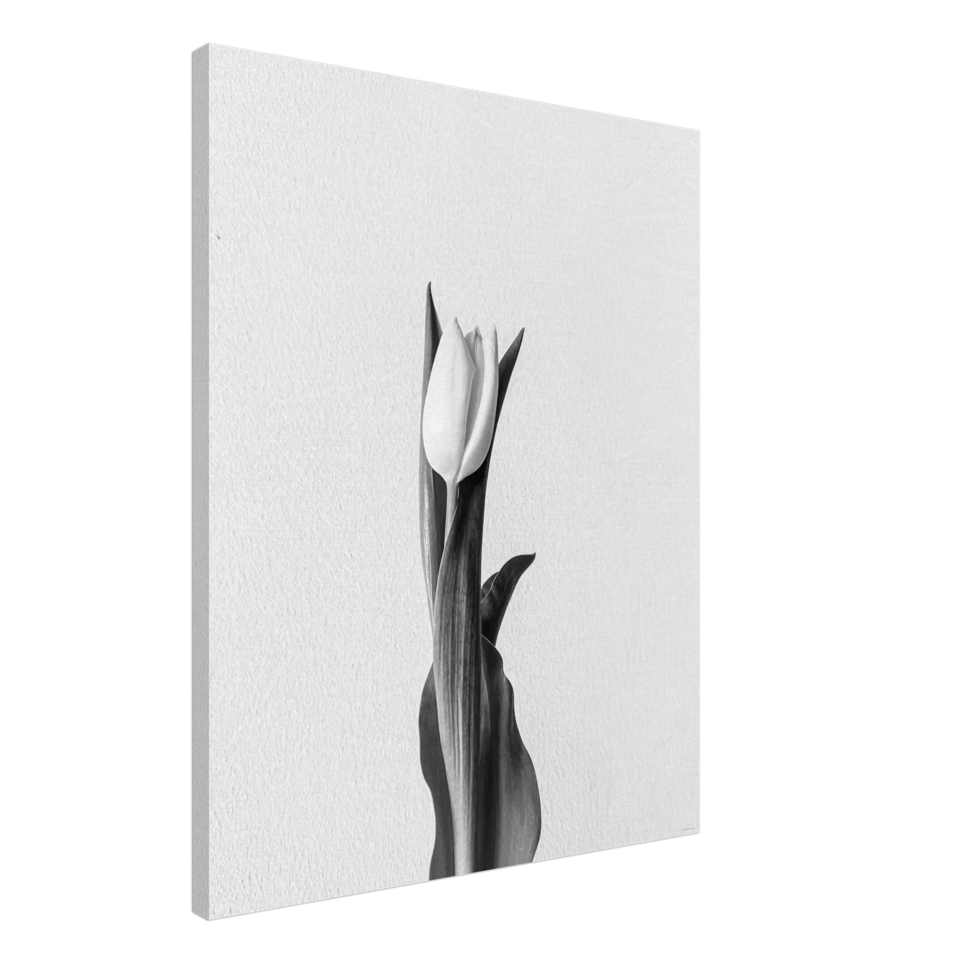 2583a40e-2efd-4b1b-90d6-c5fdcd45a4d6