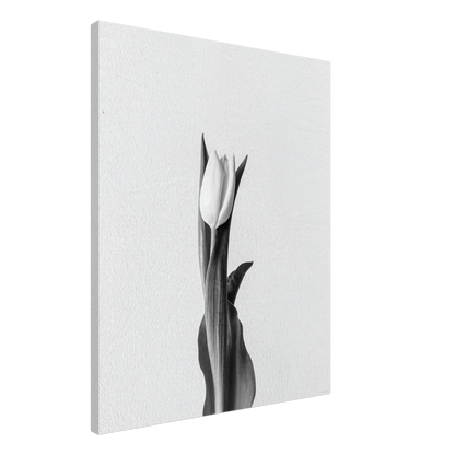 2583a40e-2efd-4b1b-90d6-c5fdcd45a4d6