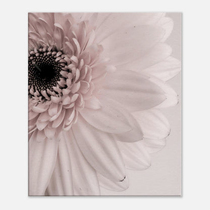 2597a633-ea26-4fc2-8cc7-2e1fa55f9e4a