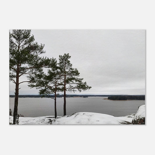 2598048f-dad4-45ce-be10-907fd81b18b0