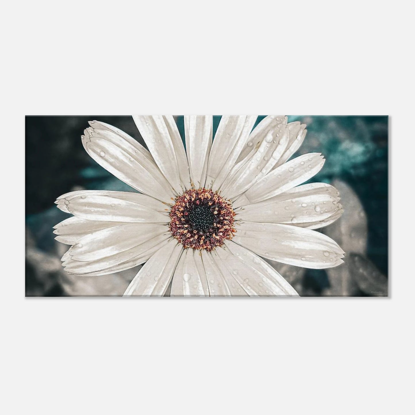 259ba3c0-dfe2-46b7-abaa-22d9e73637b2