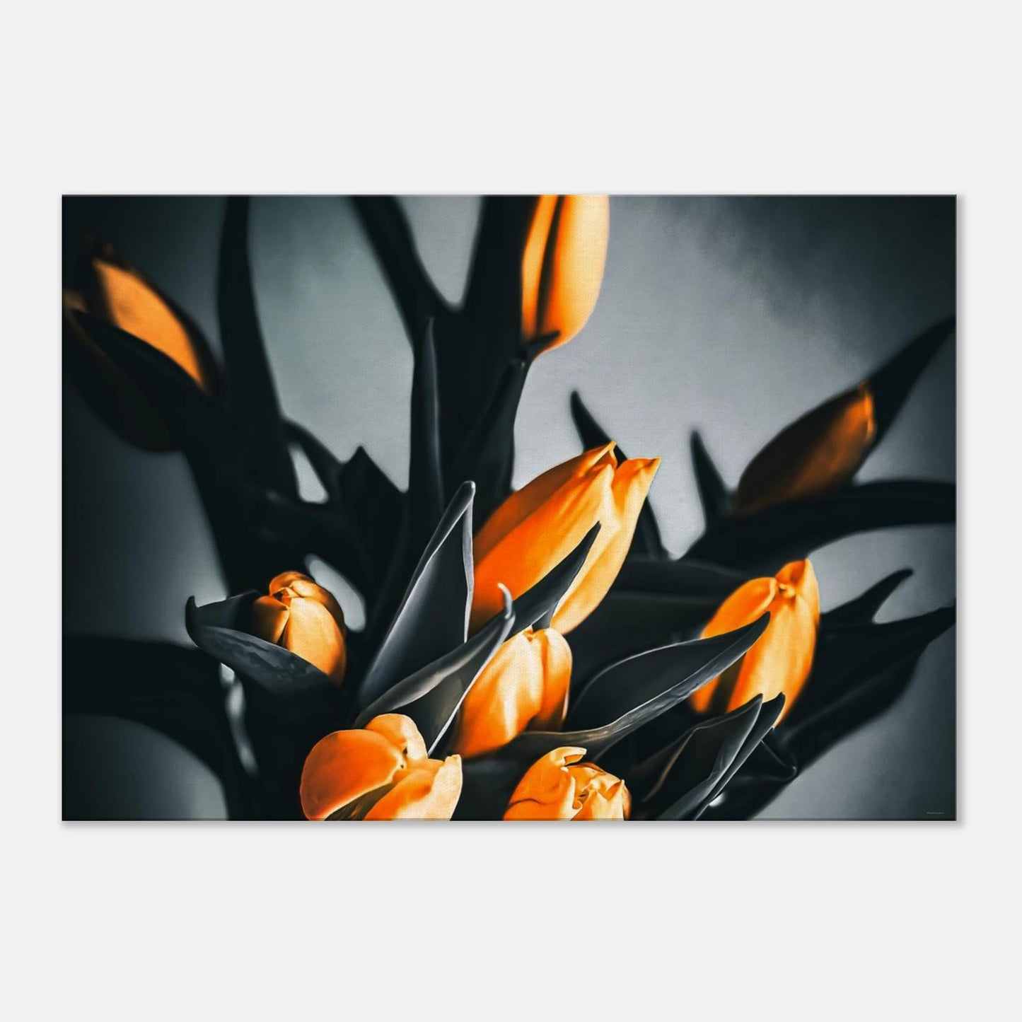 26066fc8-92ac-4109-b4f8-57a34ad62dd8