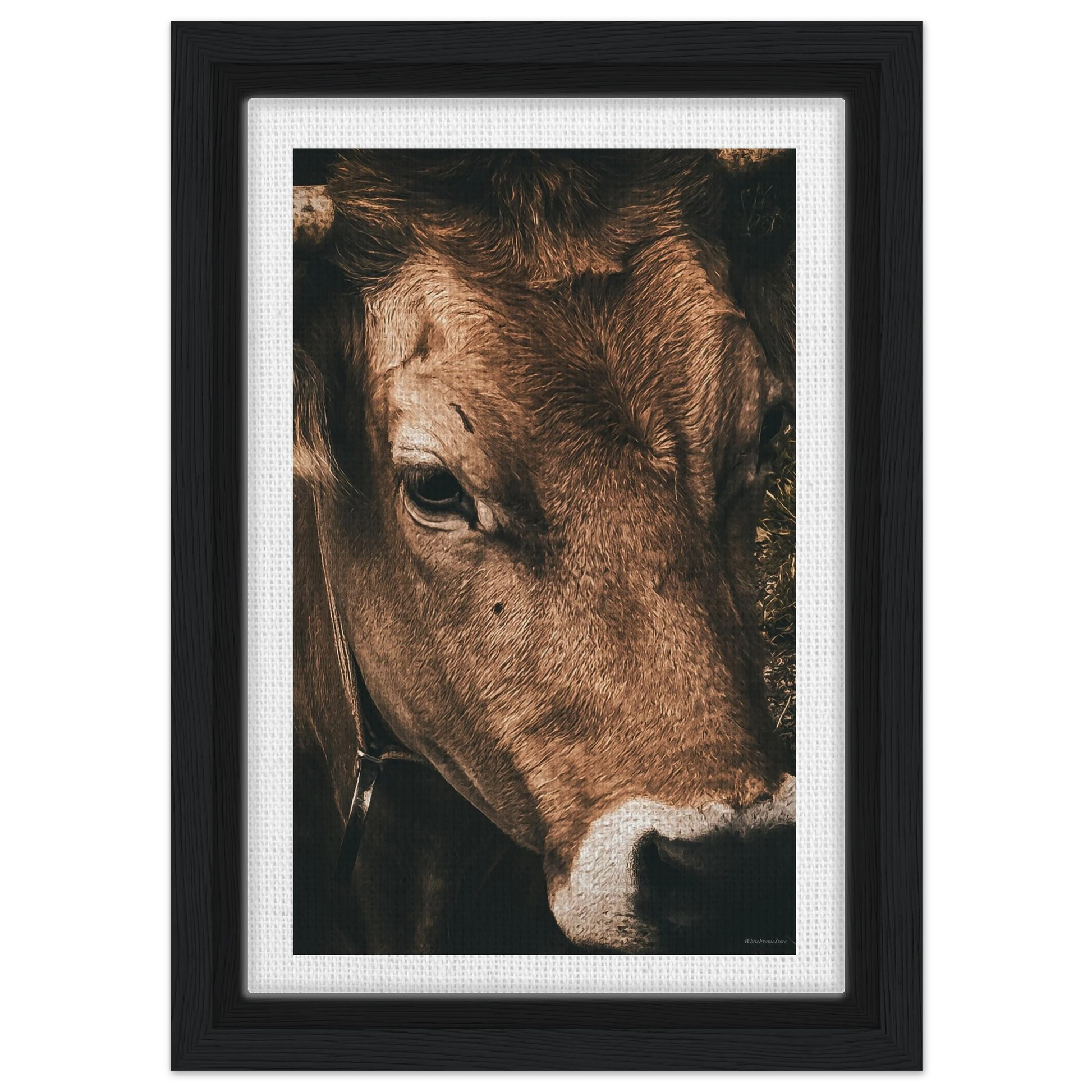 267635b8-2aa9-4570-98b6-86a9940563df