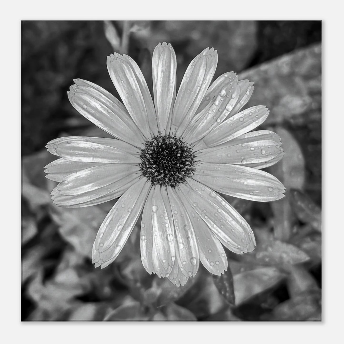 26928920-e85f-41b8-89e0-3b2329f08c0a