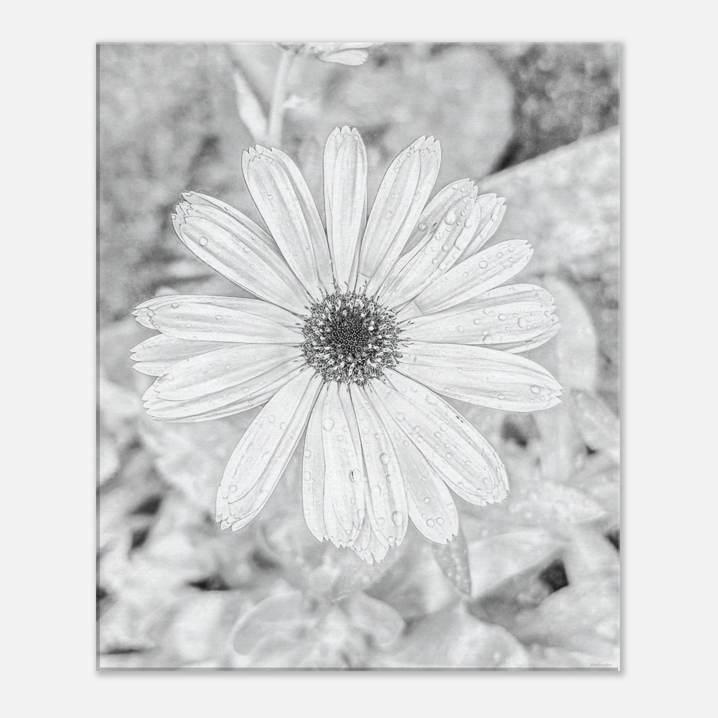 26b1e21c-859a-452c-b36b-9eddb10ec98a