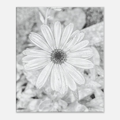 26b1e21c-859a-452c-b36b-9eddb10ec98a