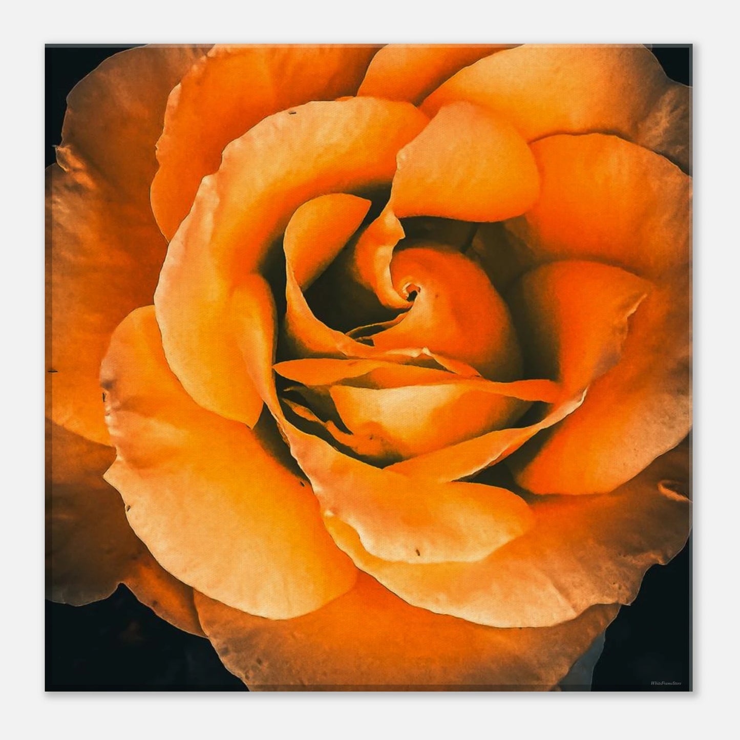 26dafe67-944b-4e5c-899a-8d34bbd9acd0