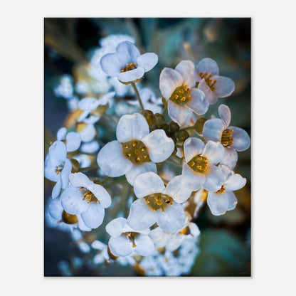 26ec4e26-4db1-4d94-8183-79280bc6c97c