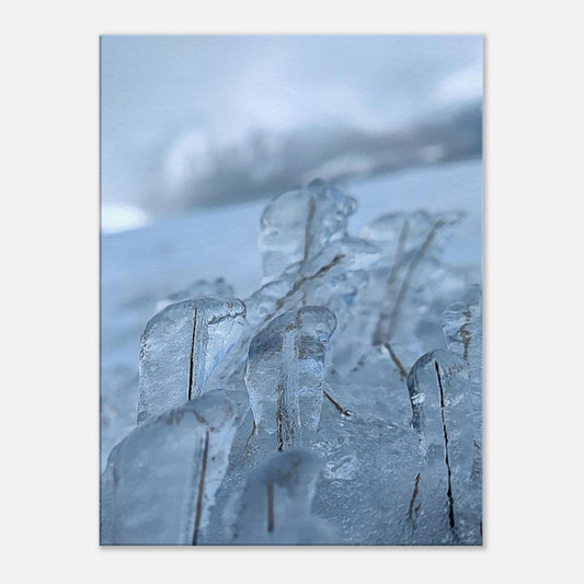 276122b8-1745-4832-ba0f-7e765ea3e4fb