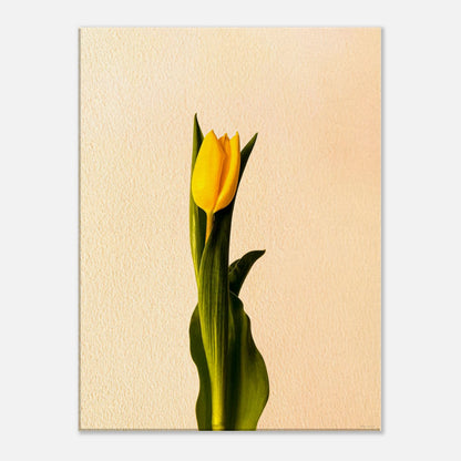 27673c2d-c42b-4b88-abc5-725fca930d32