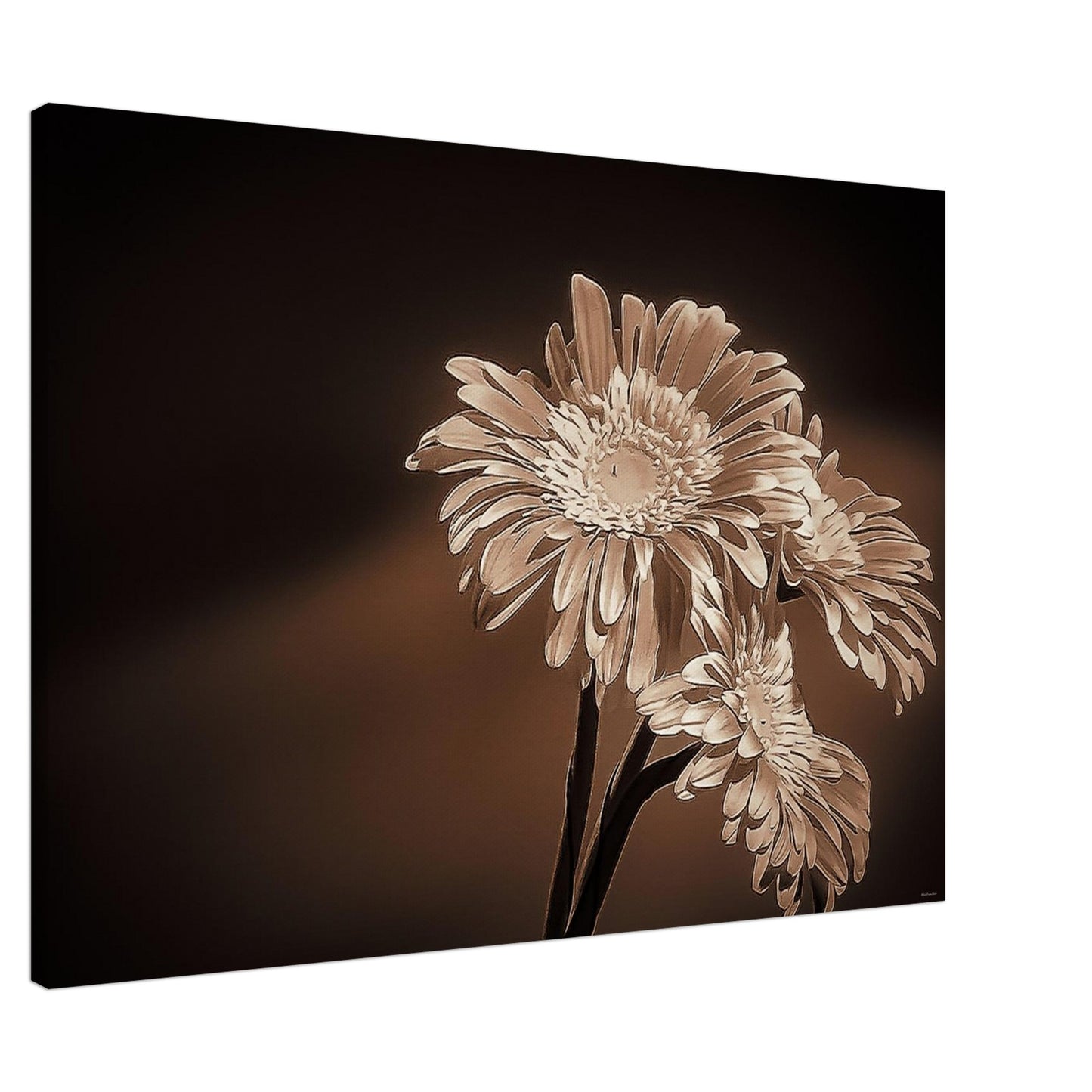 2771bd71-dc06-453b-8dff-236851f1751b