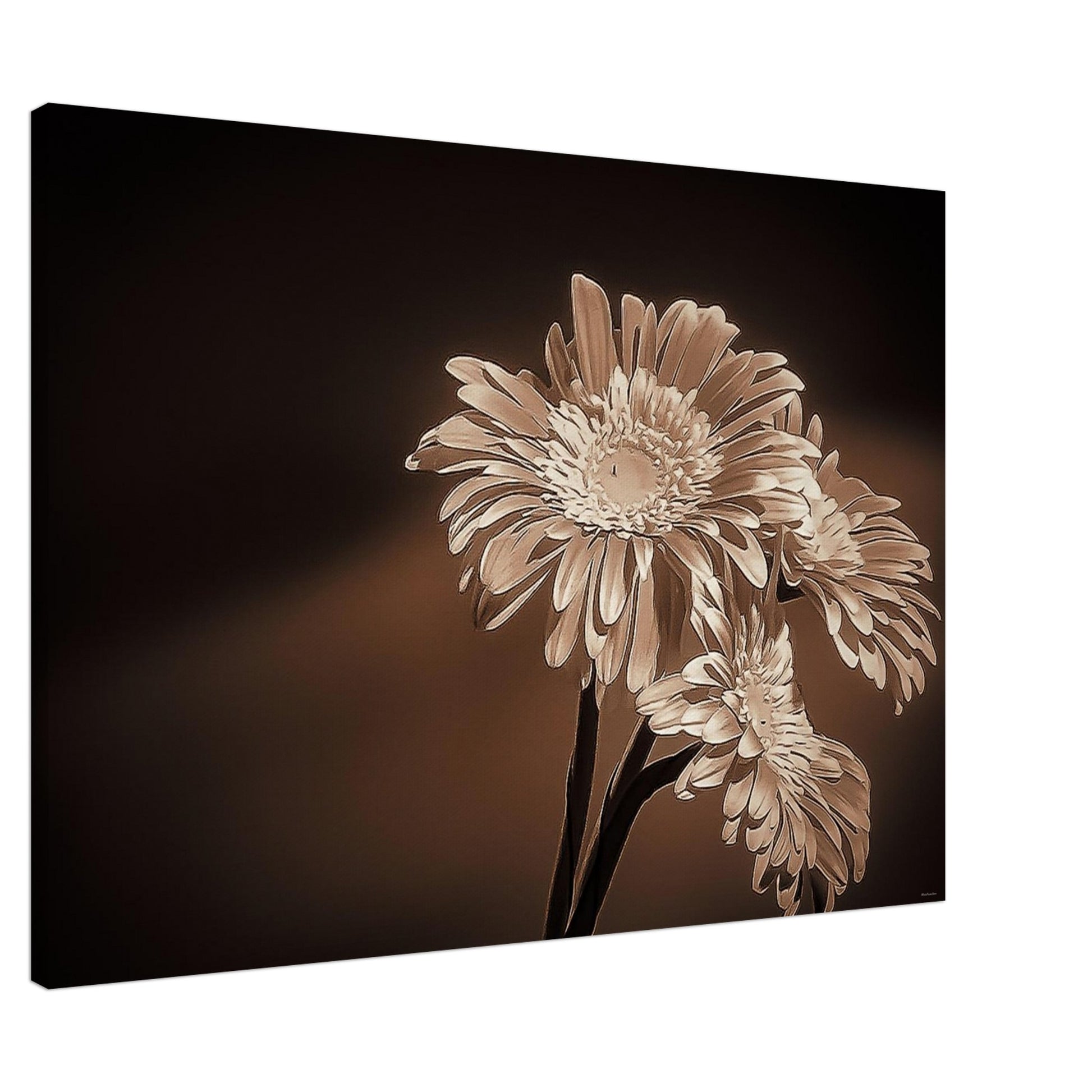 2771bd71-dc06-453b-8dff-236851f1751b