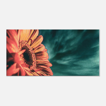 27727f68-7d33-47fa-bf5c-d9762316497c