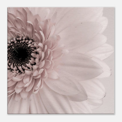 27773d64-8e80-4a4d-9b02-42719eb3a0c5