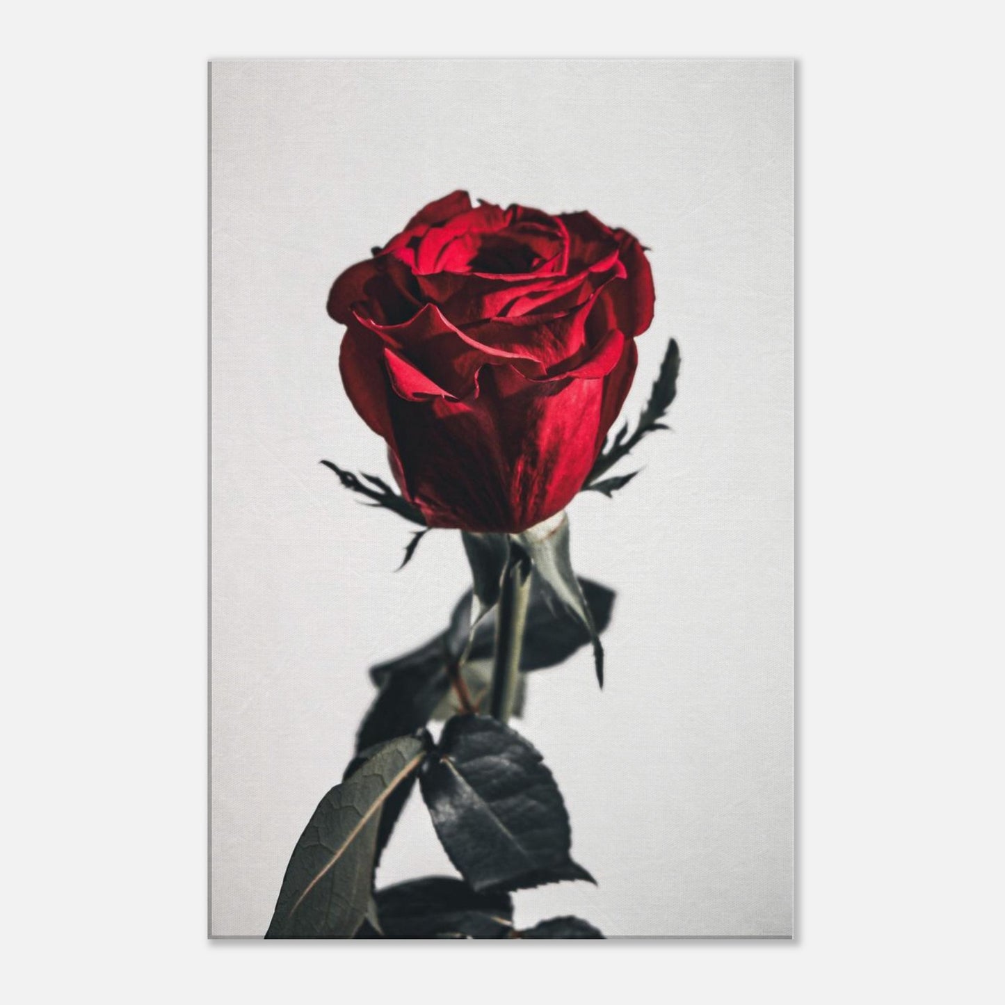 278ef380-57ca-4189-80c8-dba65ae04bba