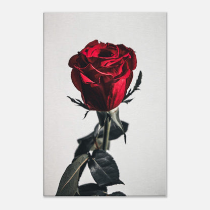 278ef380-57ca-4189-80c8-dba65ae04bba