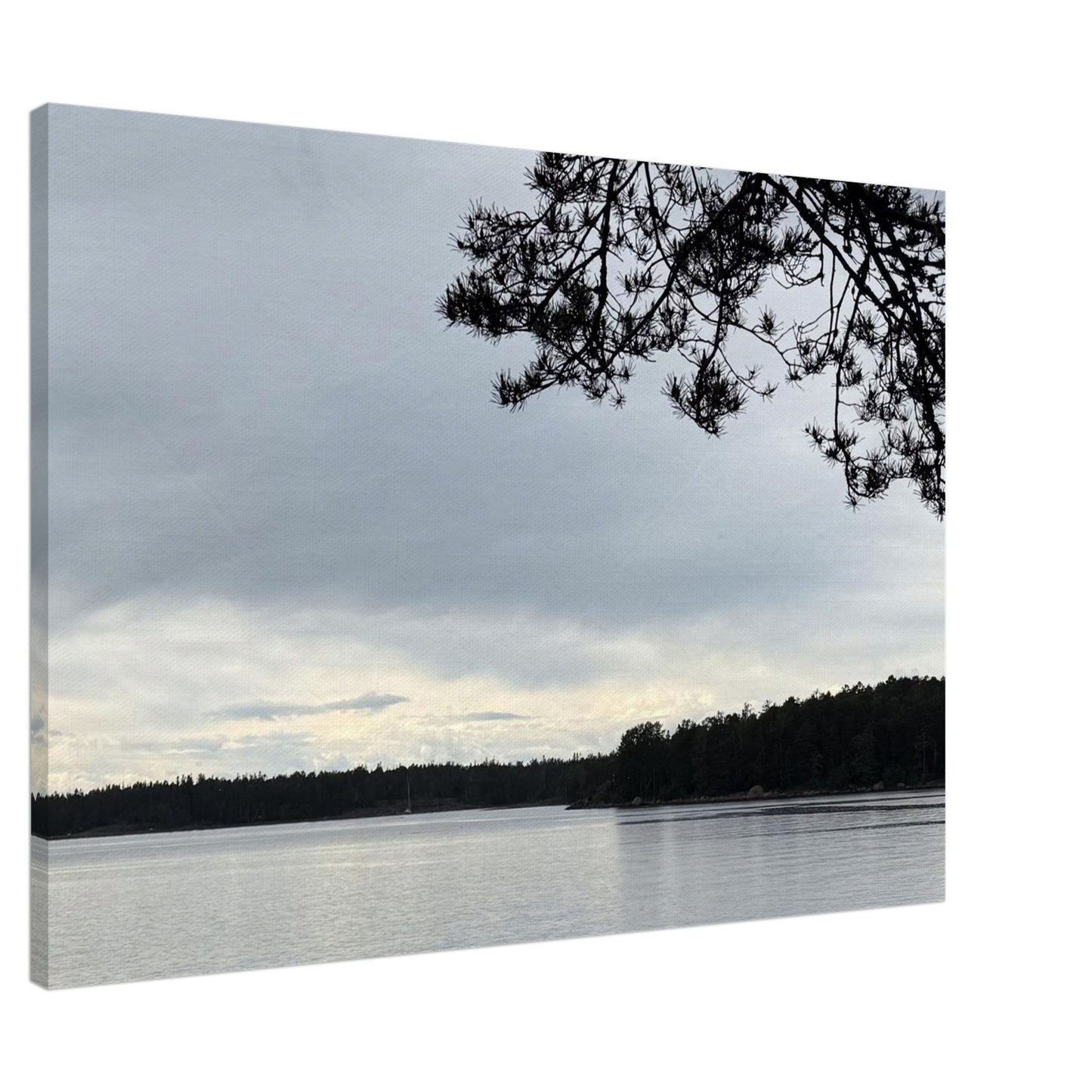 2797f716-c129-4f66-82a1-8a719c398d53